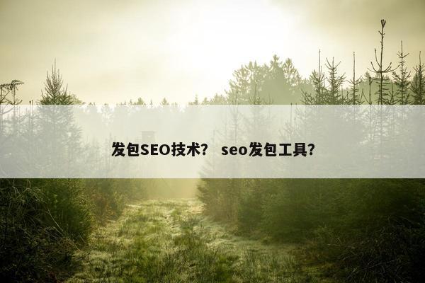 发包SEO技术？ seo发包工具？