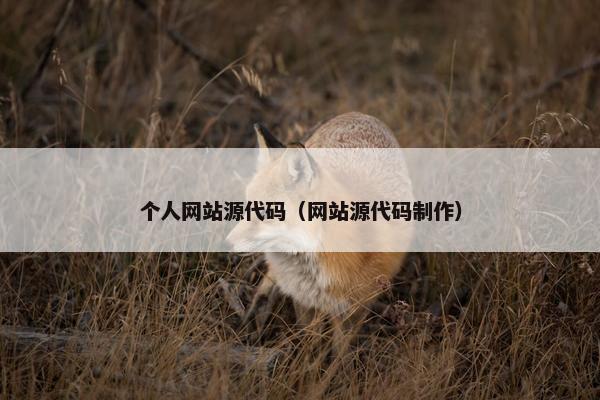 个人网站源代码（网站源代码制作）