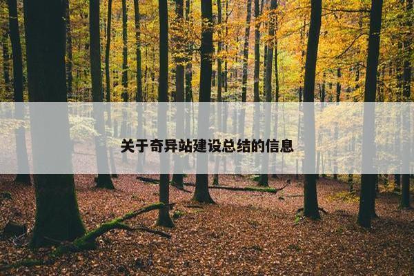 关于奇异站建设总结的信息