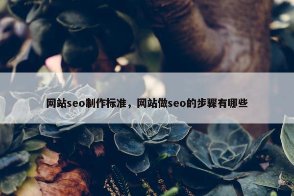 网站seo制作标准，网站做seo的步骤有哪些