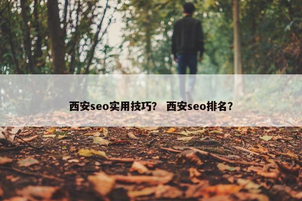 西安seo实用技巧？ 西安seo排名？