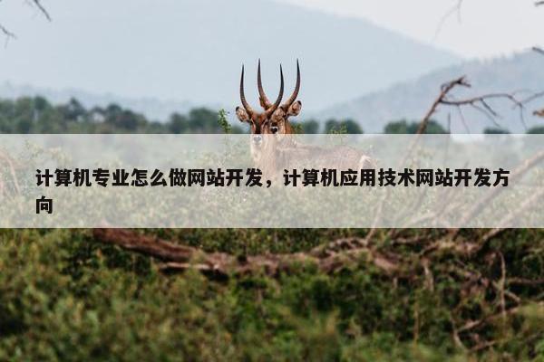计算机专业怎么做网站开发，计算机应用技术网站开发方向