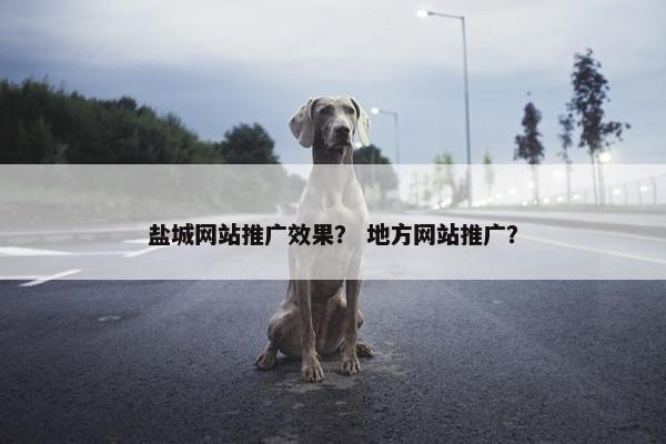 盐城网站推广效果？ 地方网站推广？