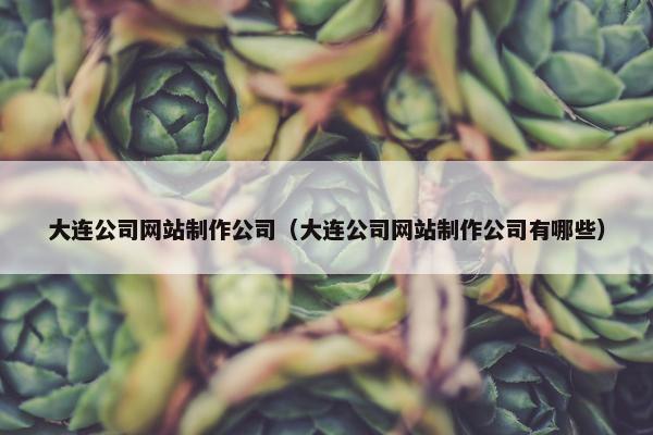 大连公司网站制作公司（大连公司网站制作公司有哪些）