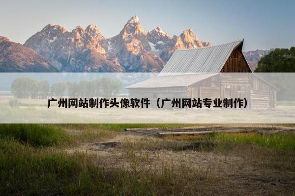 广州网站制作头像软件（广州网站专业制作）