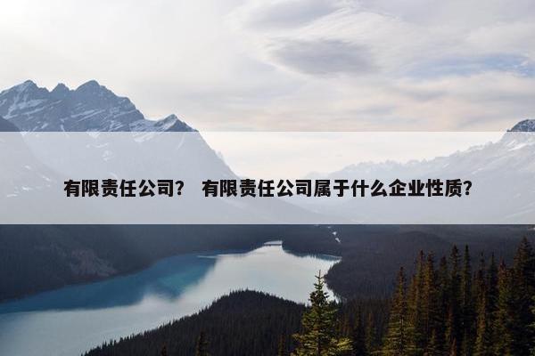 有限责任公司？ 有限责任公司属于什么企业性质？