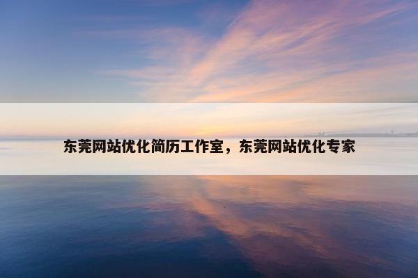 东莞网站优化简历工作室，东莞网站优化专家