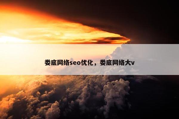 娄底网络seo优化，娄底网络大v