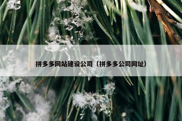 拼多多网站建设公司（拼多多公司网址）