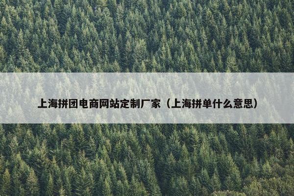 上海拼团电商网站定制厂家（上海拼单什么意思）