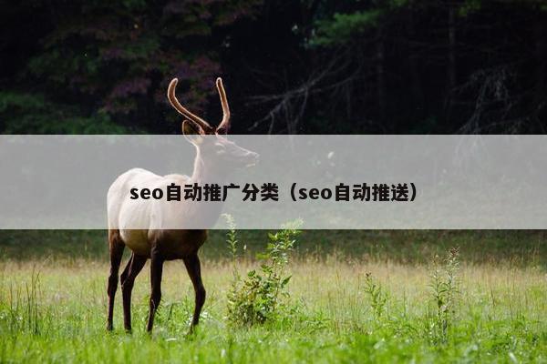 seo自动推广分类（seo自动推送）