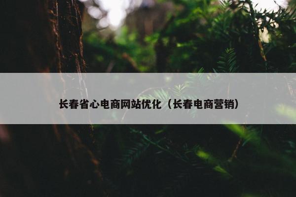 长春省心电商网站优化（长春电商营销）