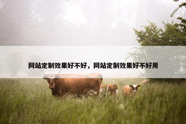 网站定制效果好不好，网站定制效果好不好用