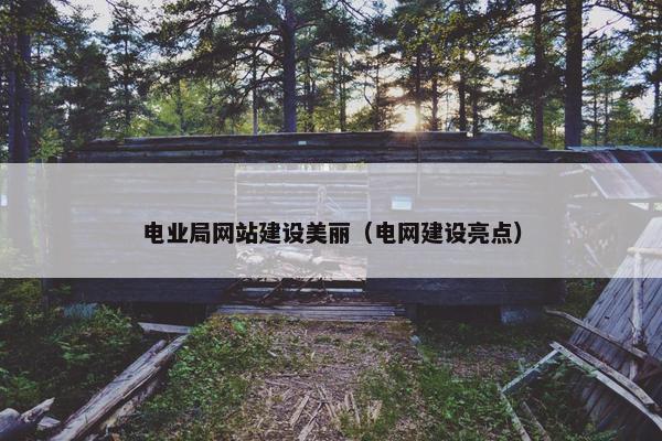电业局网站建设美丽（电网建设亮点）
