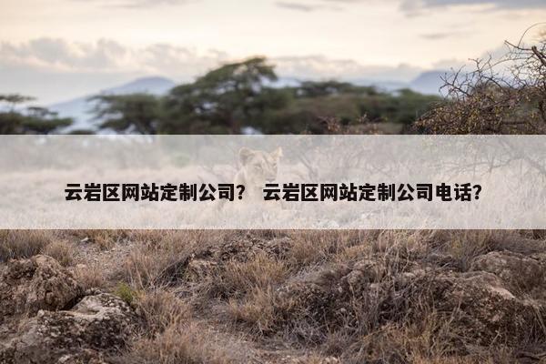 云岩区网站定制公司？ 云岩区网站定制公司电话？
