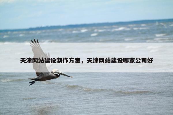 天津网站建设制作方案，天津网站建设哪家公司好
