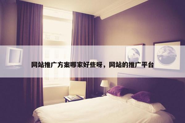 网站推广方案哪家好些呀，网站的推广平台