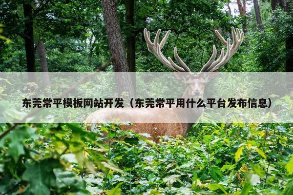 东莞常平模板网站开发（东莞常平用什么平台发布信息）