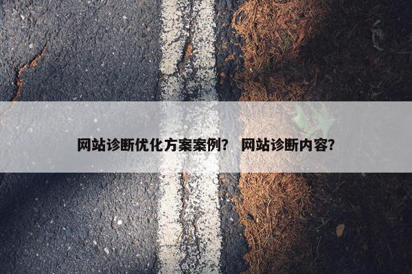 网站诊断优化方案案例？ 网站诊断内容？