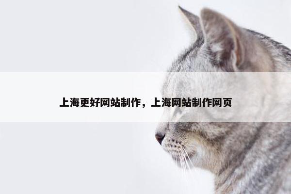 上海更好网站制作，上海网站制作网页
