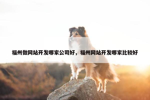 福州做网站开发哪家公司好，福州网站开发哪家比较好