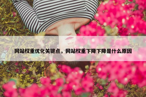 网站权重优化关键点，网站权重下降下降是什么原因