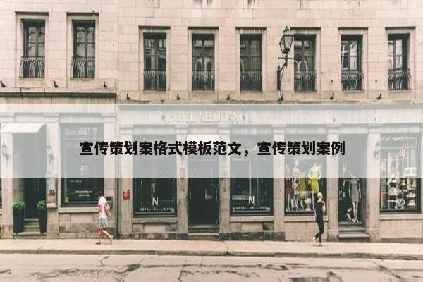 宣传策划案格式模板范文，宣传策划案例
