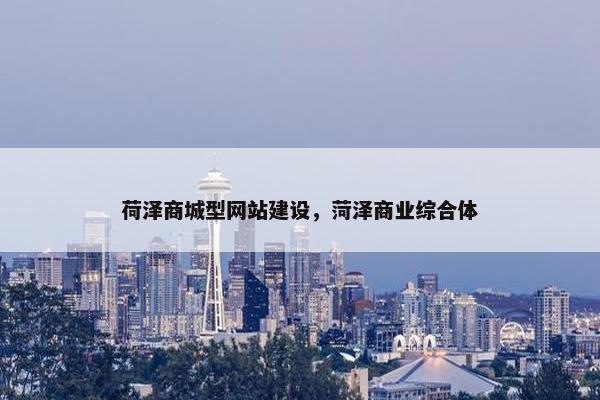 荷泽商城型网站建设，菏泽商业综合体