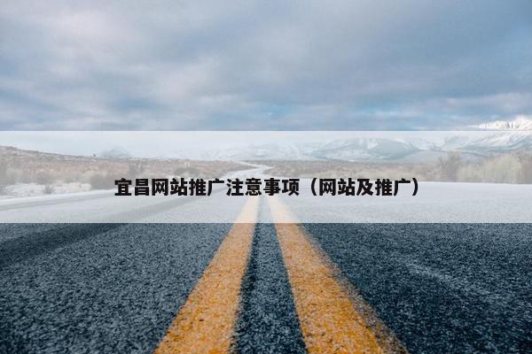 宜昌网站推广注意事项（网站及推广）