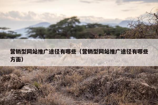 营销型网站推广途径有哪些（营销型网站推广途径有哪些方面）