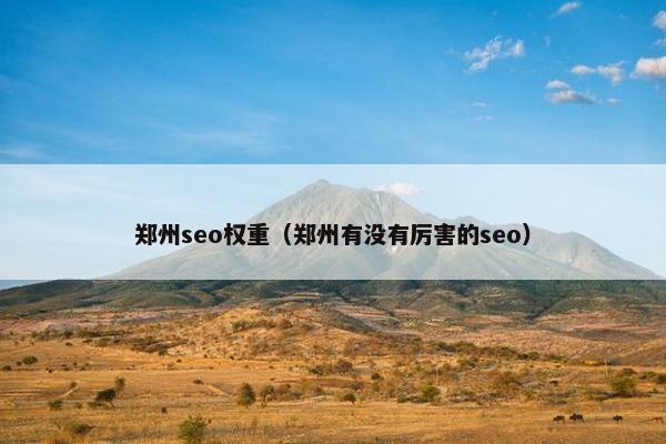 郑州seo权重（郑州有没有厉害的seo）