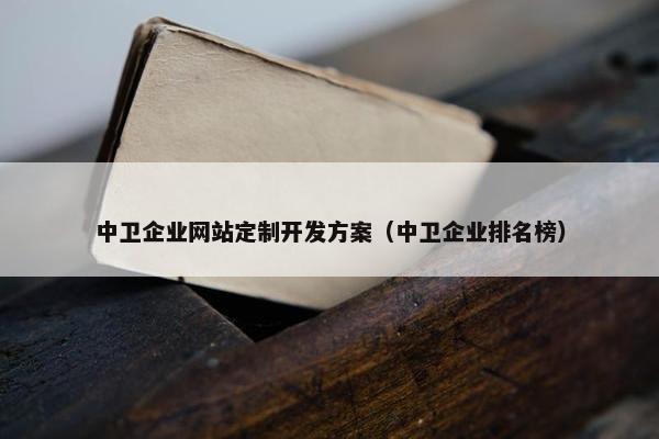 中卫企业网站定制开发方案（中卫企业排名榜）