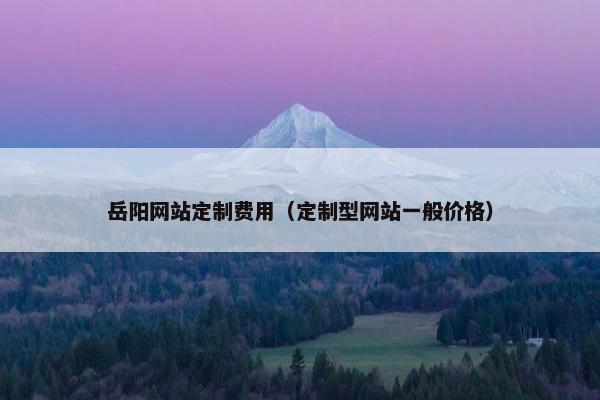 岳阳网站定制费用（定制型网站一般价格）
