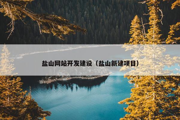 盐山网站开发建设（盐山新建项目）