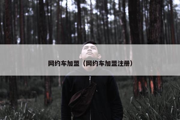 网约车加盟（网约车加盟注册）