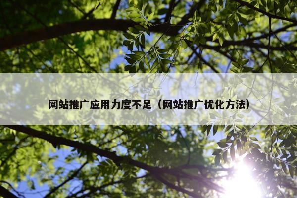网站推广应用力度不足（网站推广优化方法）