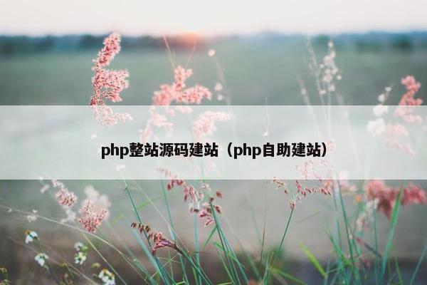 php整站源码建站（php自助建站）