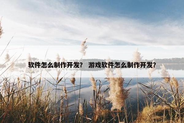 软件怎么制作开发？ 游戏软件怎么制作开发？