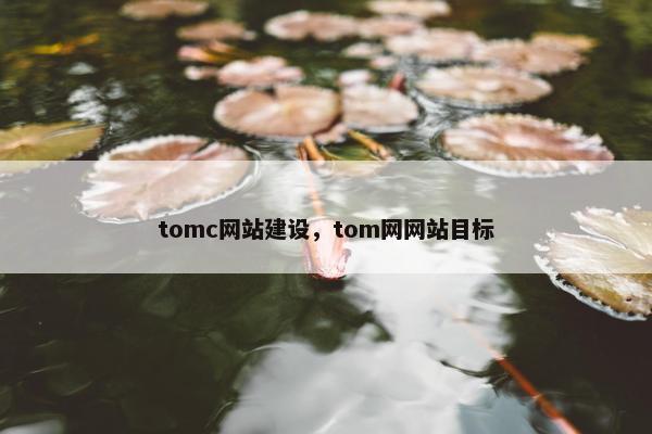 tomc网站建设，tom网网站目标