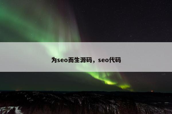 为seo而生源码，seo代码