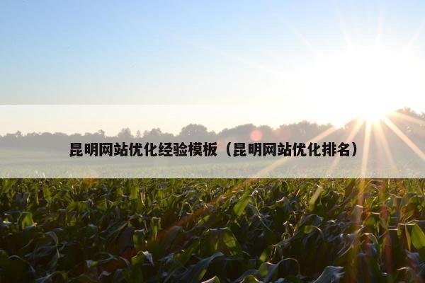 昆明网站优化经验模板（昆明网站优化排名）