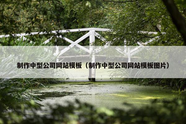 制作中型公司网站模板（制作中型公司网站模板图片）