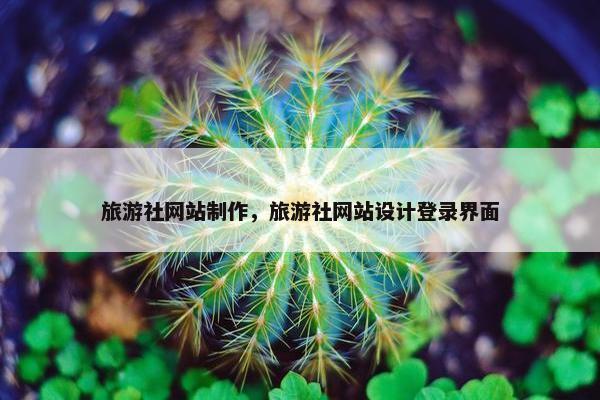 旅游社网站制作，旅游社网站设计登录界面