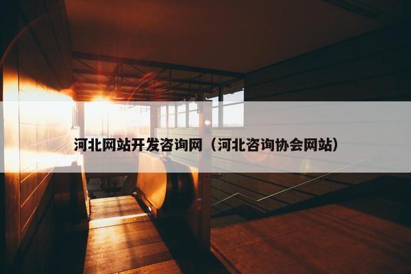 河北网站开发咨询网（河北咨询协会网站）