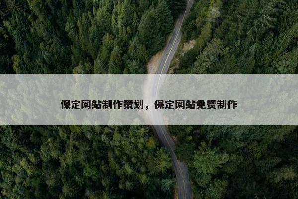 保定网站制作策划，保定网站免费制作