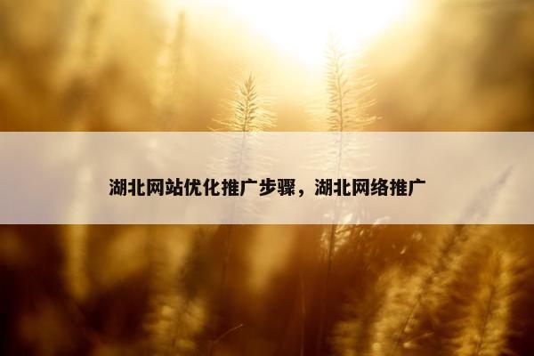 湖北网站优化推广步骤，湖北网络推广