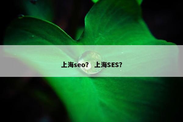 上海seo？ 上海SES？