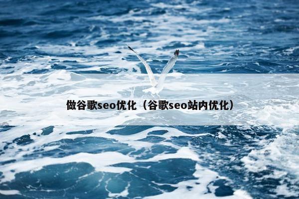 做谷歌seo优化（谷歌seo站内优化）