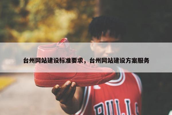 台州网站建设标准要求，台州网站建设方案服务