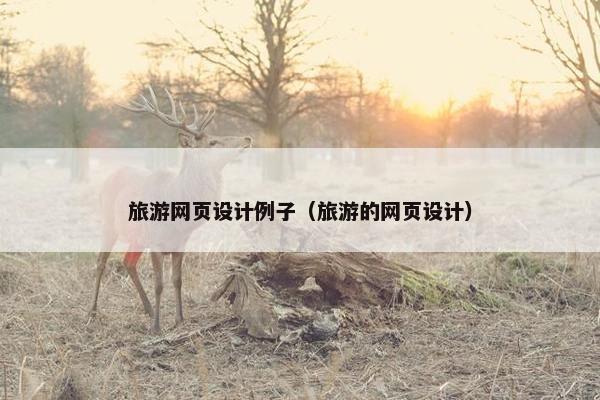 旅游网页设计例子（旅游的网页设计）